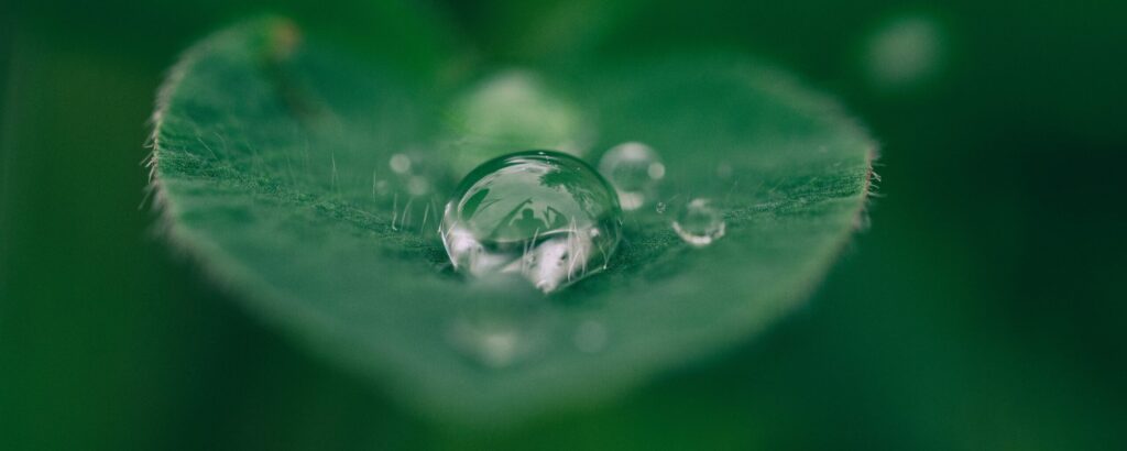 The programs featured image