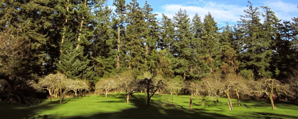 The programs featured image