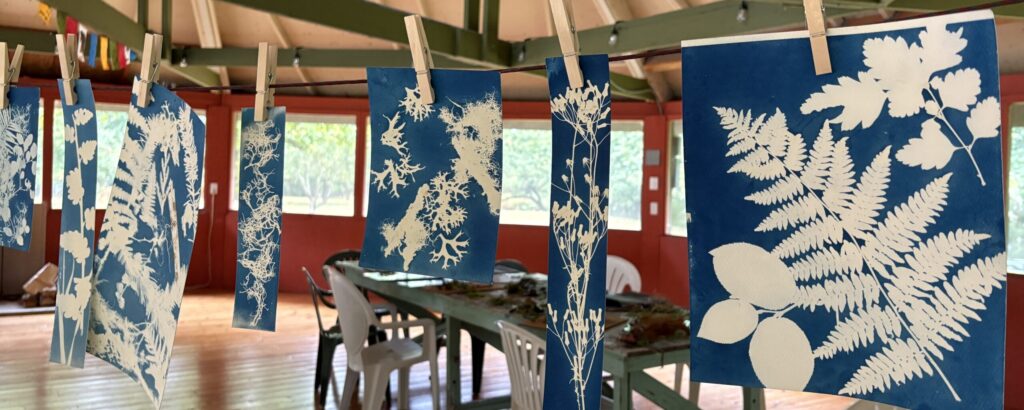 The programs featured image