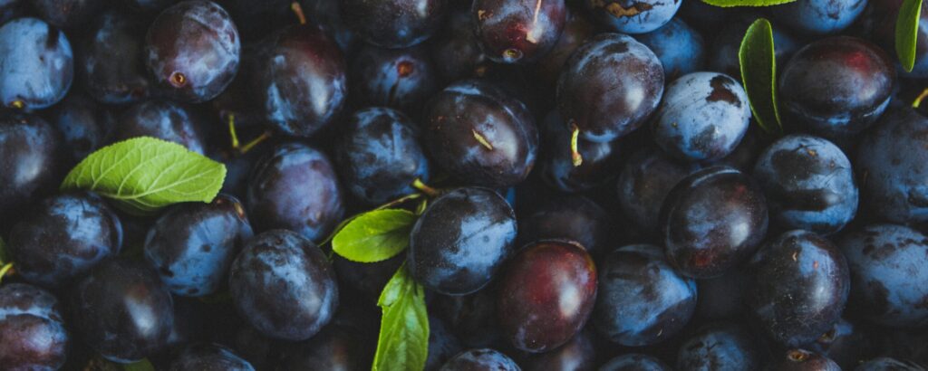 The programs featured image